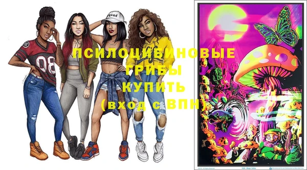ECSTASY Пролетарск