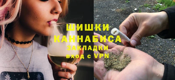 мдпв Дмитров