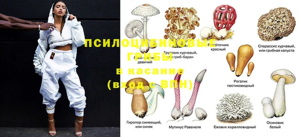 ECSTASY Пролетарск