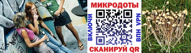 Псилоцибиновые грибы GOLDEN TEACHER  купить  цена  Саянск 