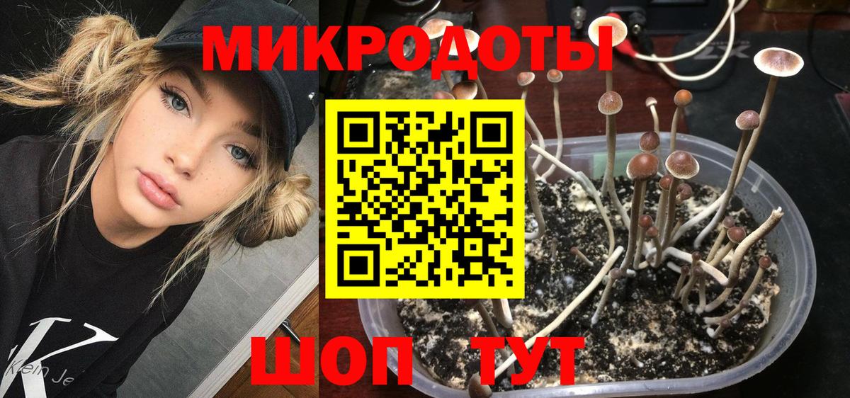 Галлюциногенные грибы Magic Shrooms Саянск