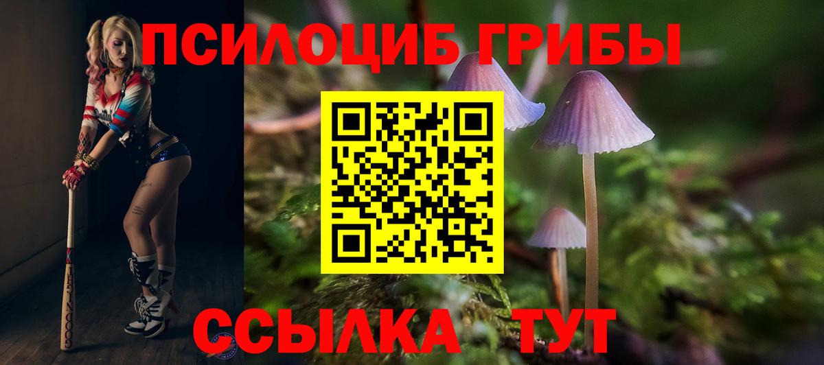 Галлюциногенные грибы Magic Shrooms  Вход с VPN  Саянск  Псилоцибиновые грибы Psilocybe 
